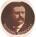 Theodore Roosevelt Sepia by Ehrman