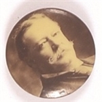 Taft Small Sepia Celluloid