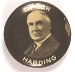 Im for Harding