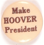Make Hover President