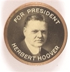 Hoover Celluloid Stud