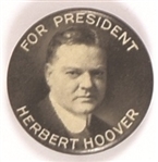 Hoover Black and White Picture Pin