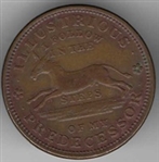Hard Times Tortoise Token