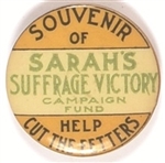 Sarahs Suffrage Victory Help Cut the Fetters