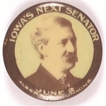 Cummins Iowas Next Senator