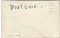 Roosevelt Portrait Postcard