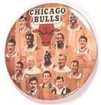 Michael Jordan, Chicago Bulls