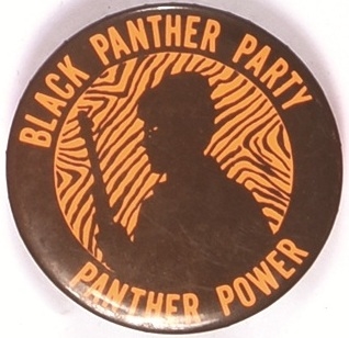 Black Panther Power