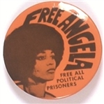 Free Angela Davis, All Political Prisoners
